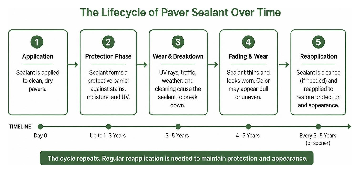 The lifecycle of paver sealant over time The lifecycle of paver sealant over time