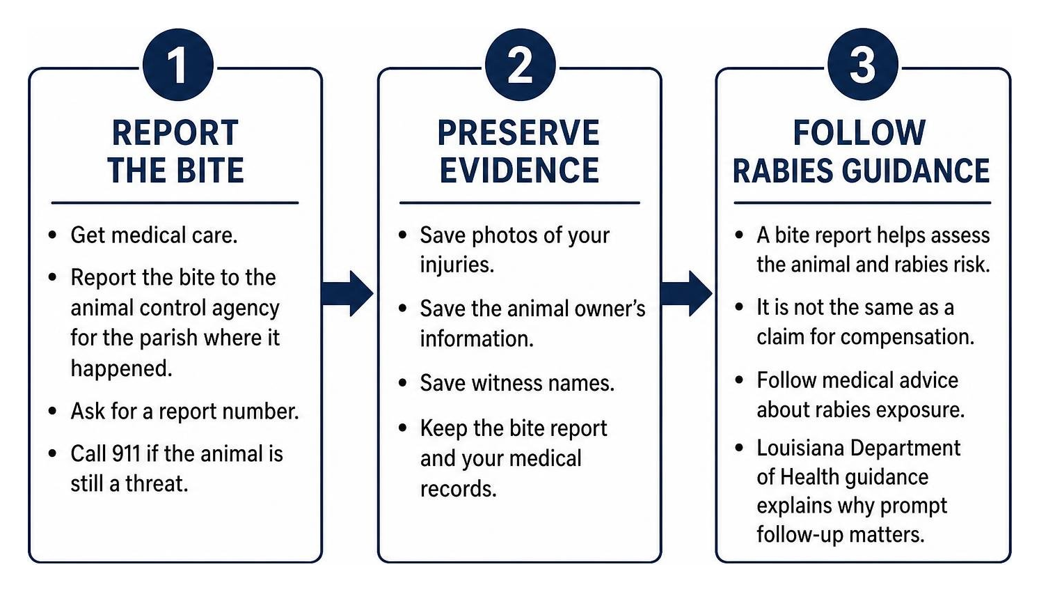 Steps to report an animal bite, preserve evidence, and follow rabies guidance Steps to report an animal bite, preserve evidence, and follow rabies guidance