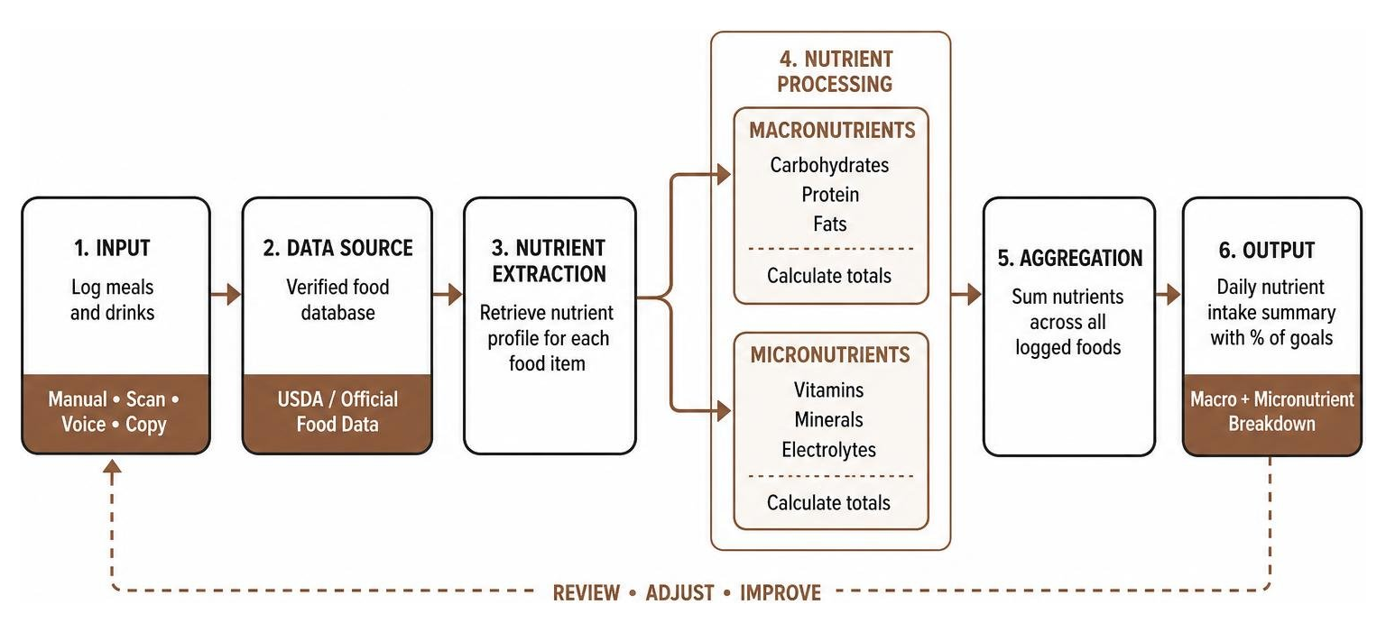 Daily nutrient intake pipeline showing macro and micronutrient processing Daily nutrient intake pipeline showing macro and micronutrient processing