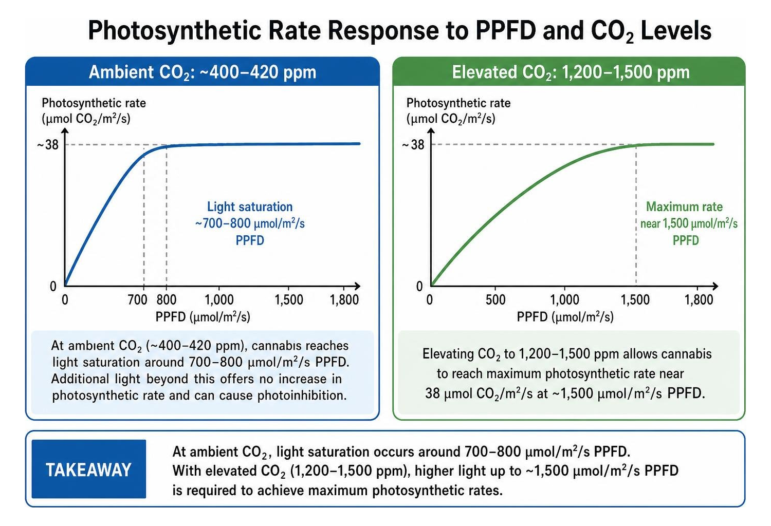 Photosynthetic rate response to PPFD and CO2 levels Photosynthetic rate response to PPFD and CO2 levels