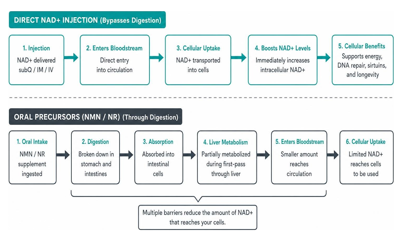 Diagram showing the cellular pathway of direct NAD+ injection versus oral precursors bypassing digestion