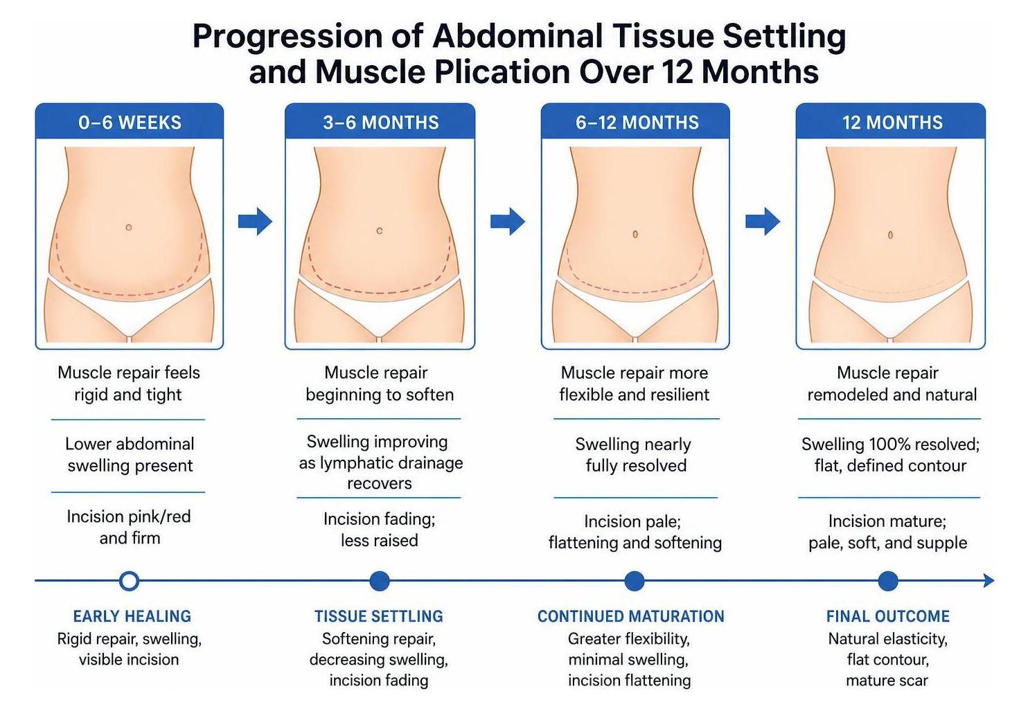 progression of abdominal tissue settling and muscle plication over 12 months