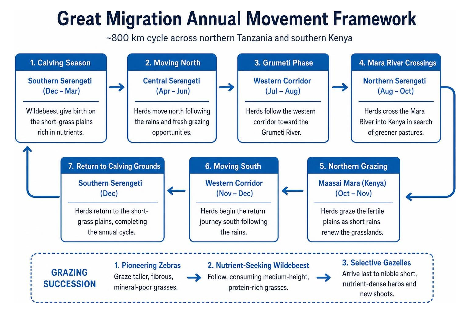 Great Migration annual movement framework Great Migration annual movement framework