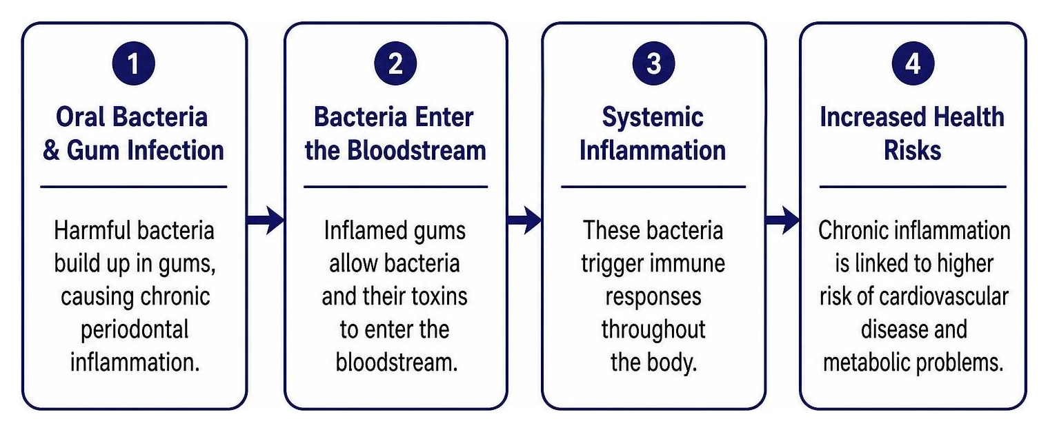 Connection between oral bacteria and systemic inflammation