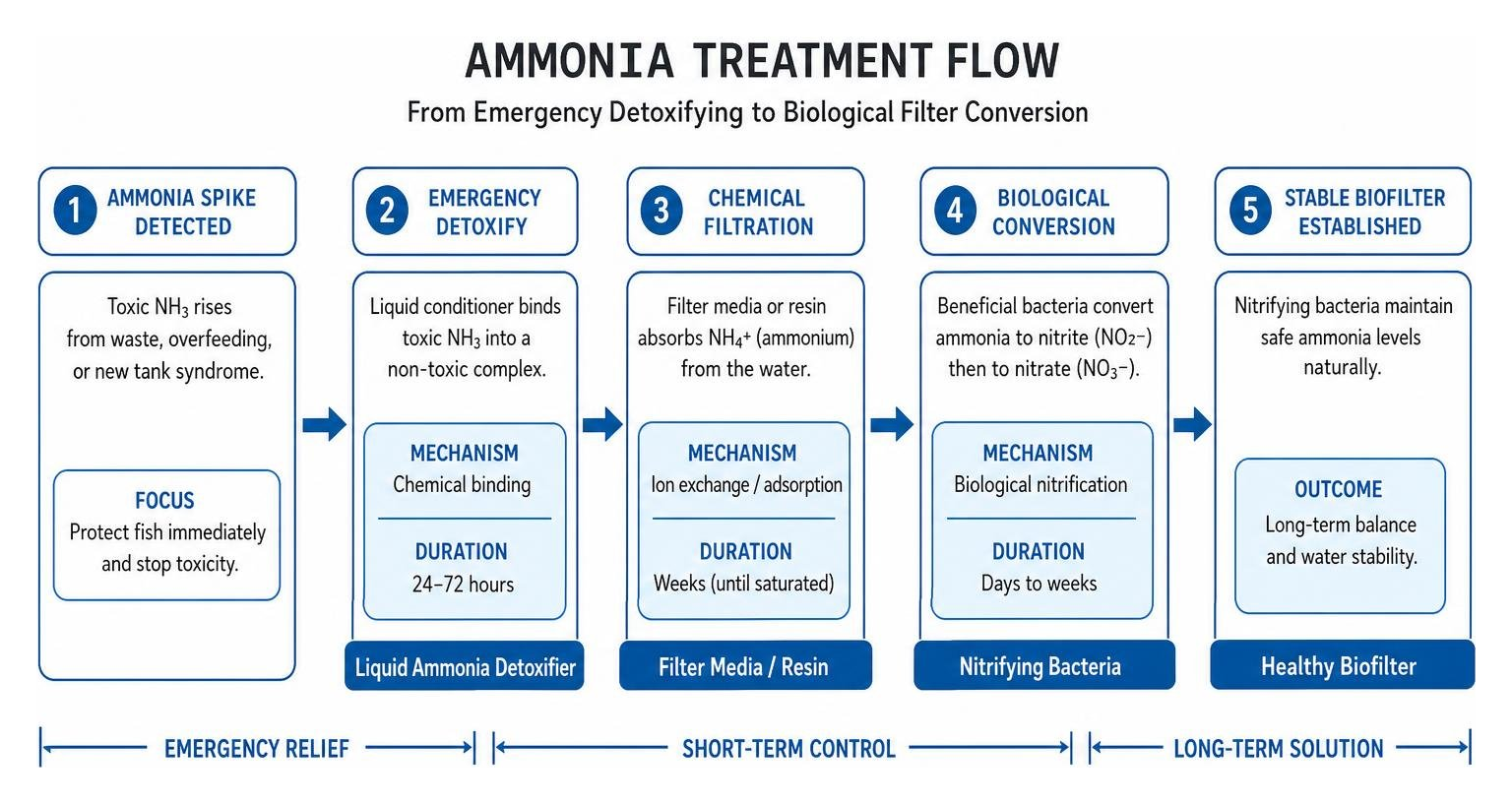 Diagram showing ammonia treatment flow from emergency detoxifying to biological filter conversion