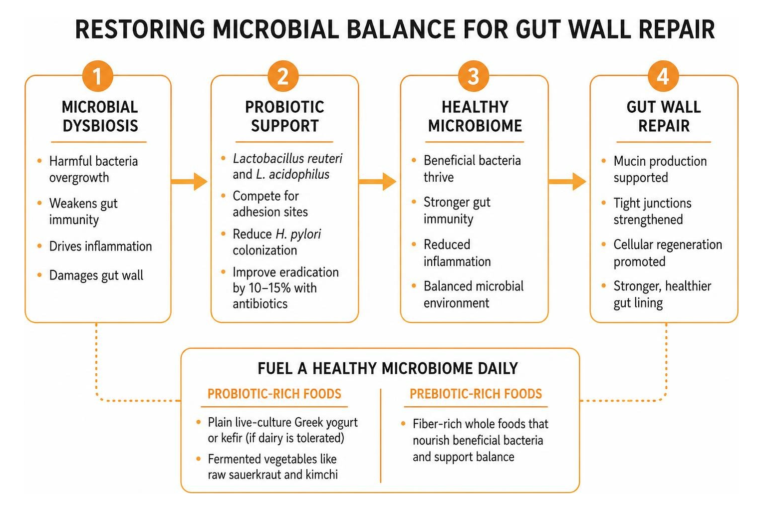Restoring microbial balance for gut wall repair Restoring microbial balance for gut wall repair