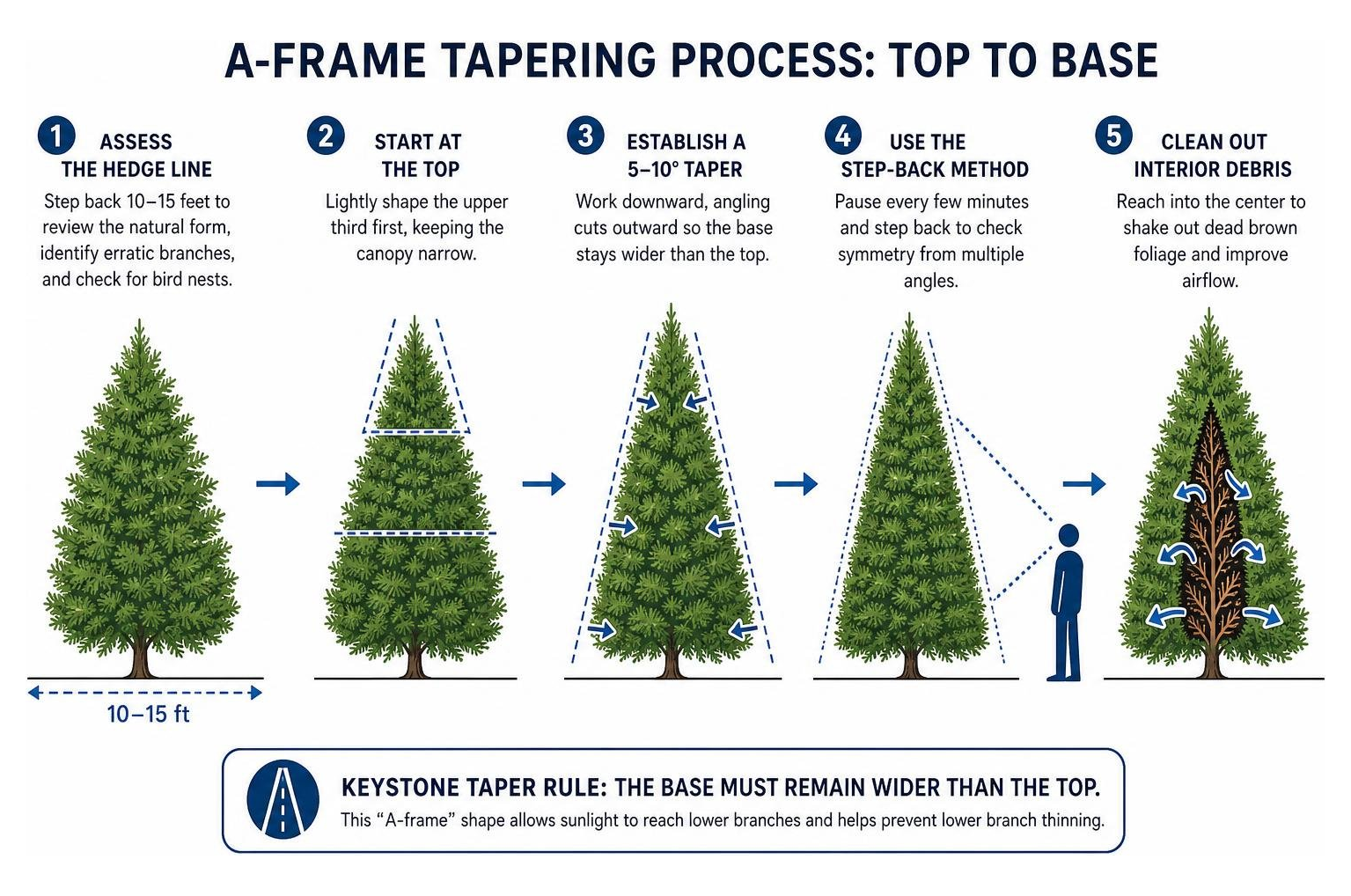 step-by-step diagram showing the A-frame tapering process from top to base