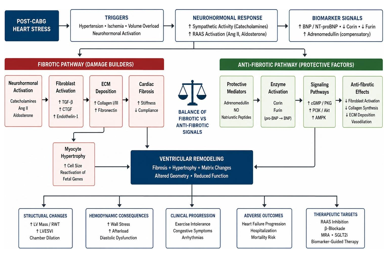 Molecular pathways of cardiac fibrosis and ventricular remodeling post-CABG