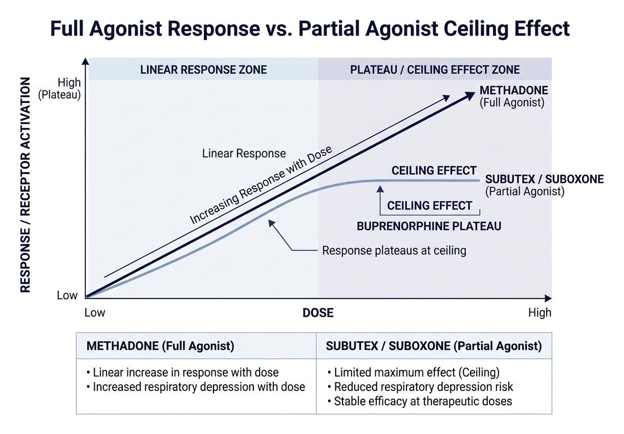 Diagram showing full agonist linear response vs partial agonist ceiling effect curve Diagram showing full agonist linear response vs partial agonist ceiling effect curve