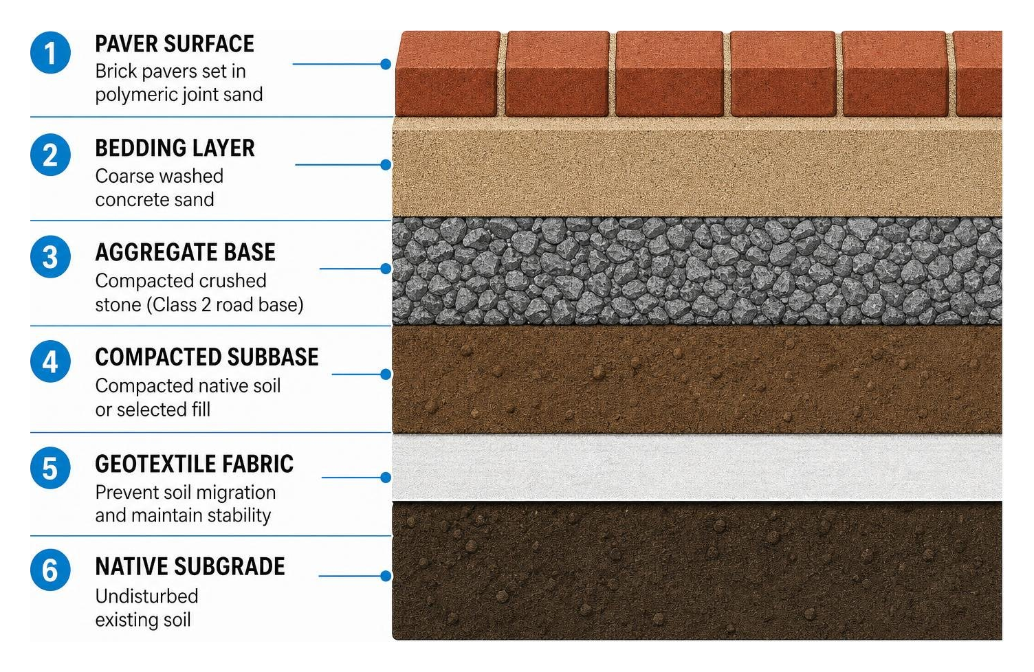 Step-by-step layered cross section of professional paver installation base Step-by-step layered cross section of professional paver installation base