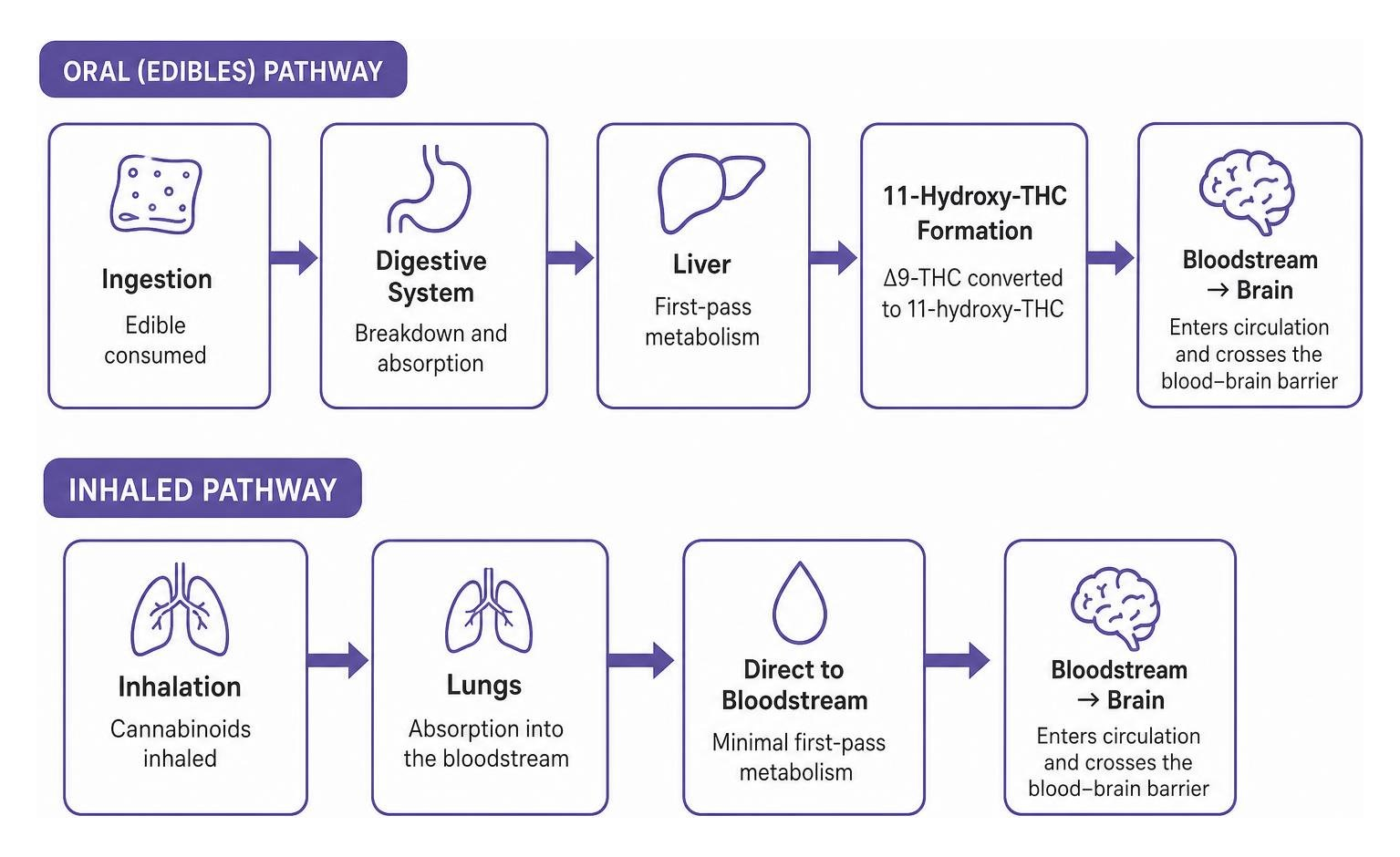 oral vs inhaled cannabinoid processing pathway