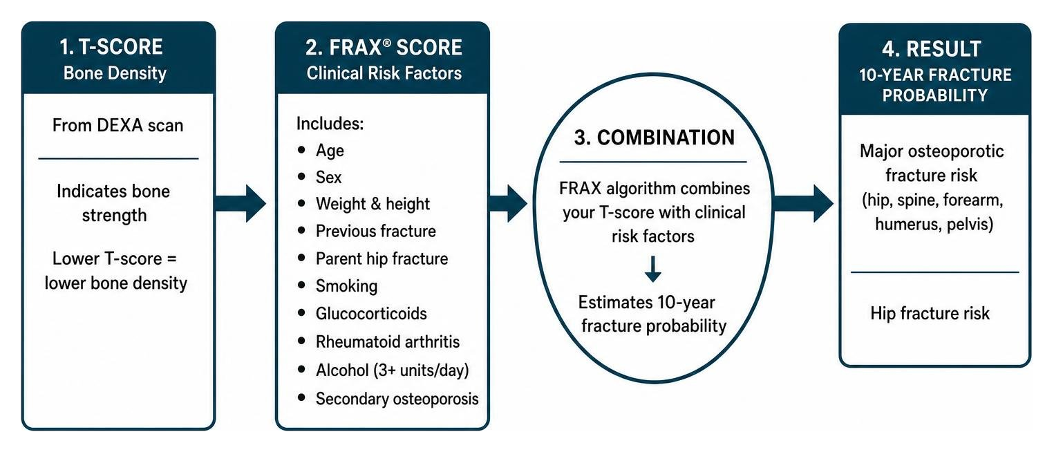 Diagram showing how T-scores and FRAX score combine to estimate 10-year fracture probability Diagram showing how T-scores and FRAX score combine to estimate 10-year fracture probability