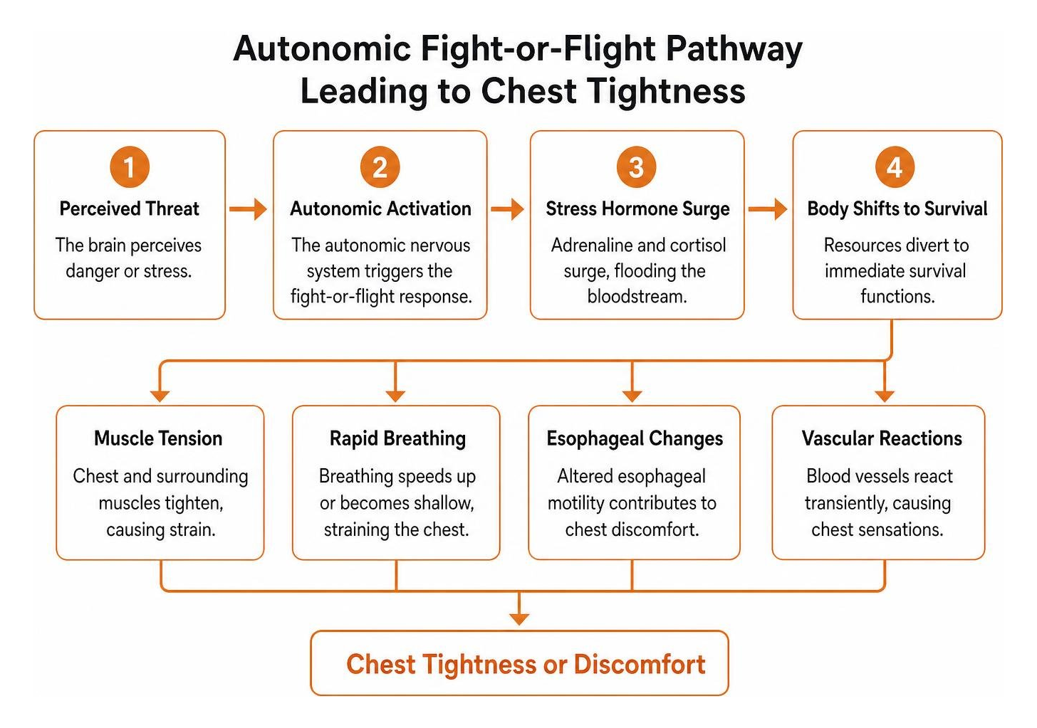 Diagram of autonomic fight or flight pathway causing chest tightness Diagram of autonomic fight or flight pathway causing chest tightness