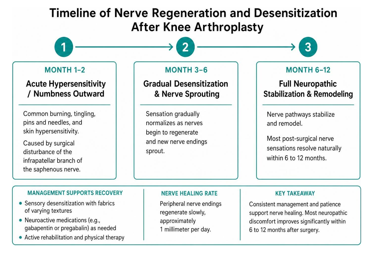 Timeline of nerve regeneration and desensitization after knee arthroplasty