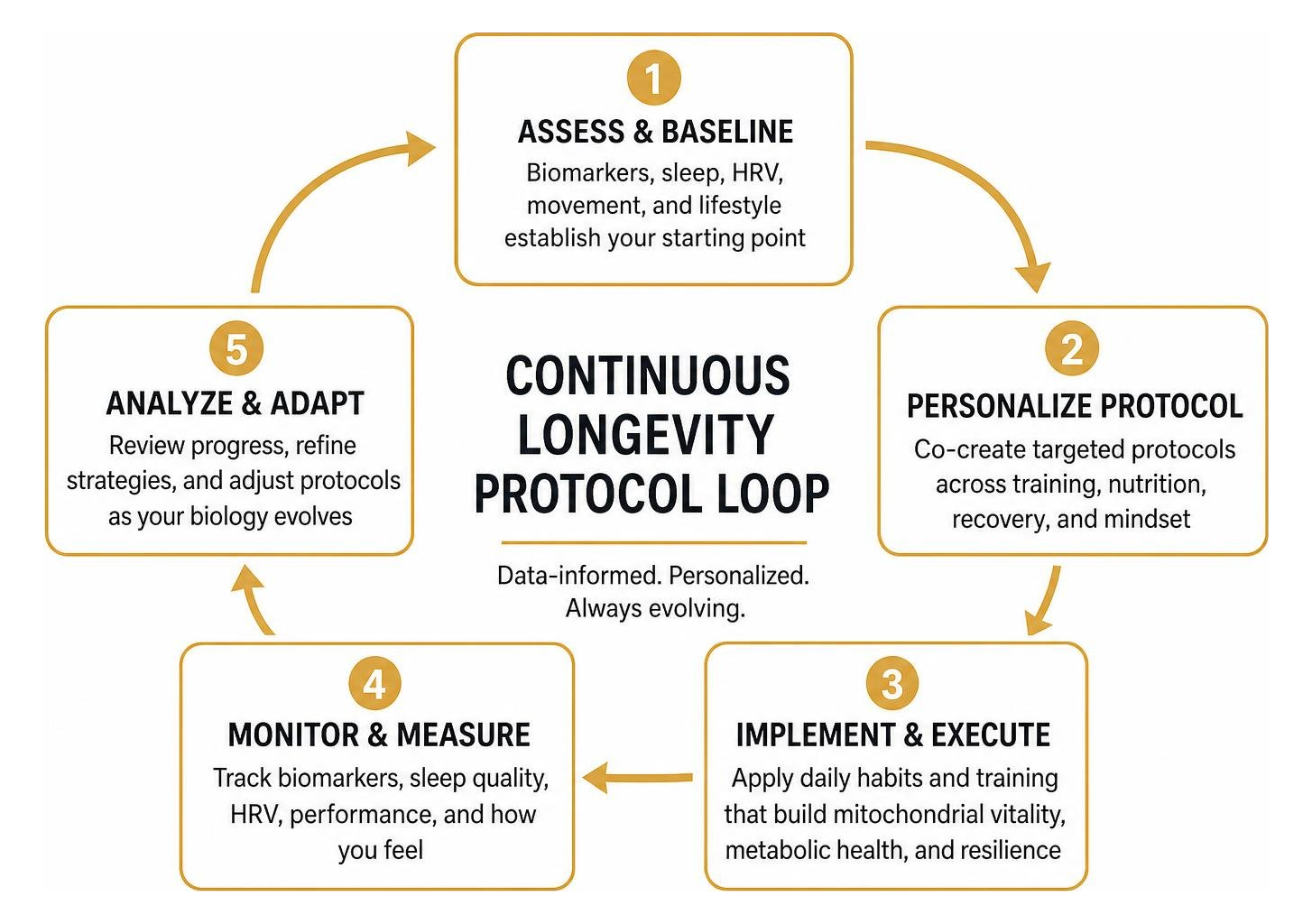 Continuous Longevity Protocol Loop Continuous Longevity Protocol Loop