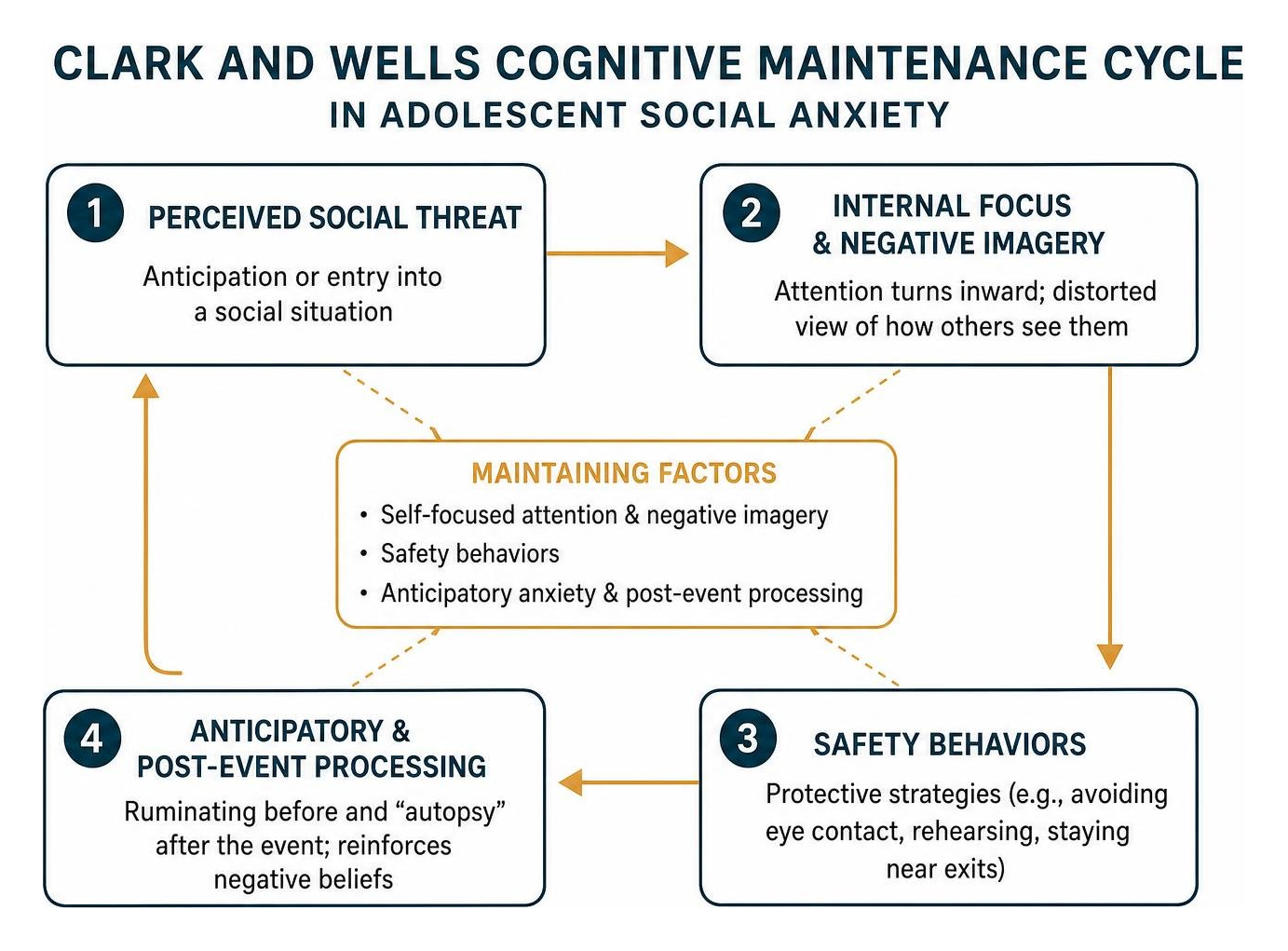 Clark and Wells cognitive maintenance cycle in adolescent social anxiety