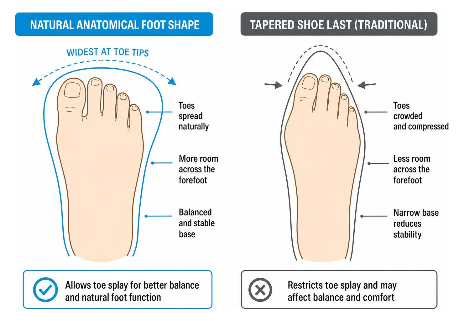 Diagram showing natural anatomical foot shape versus tapered shoe lasts