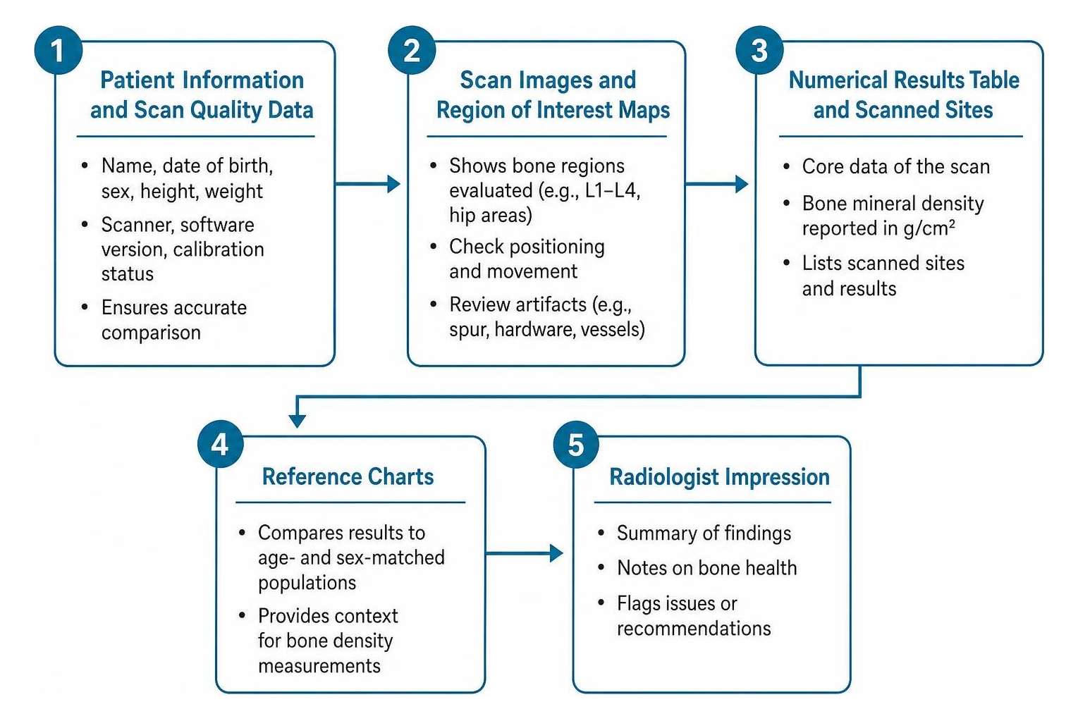 Flowchart of the five sections of a DEXA scan report: patient and scan quality data, scan images, results table, reference charts, and radiologist impression