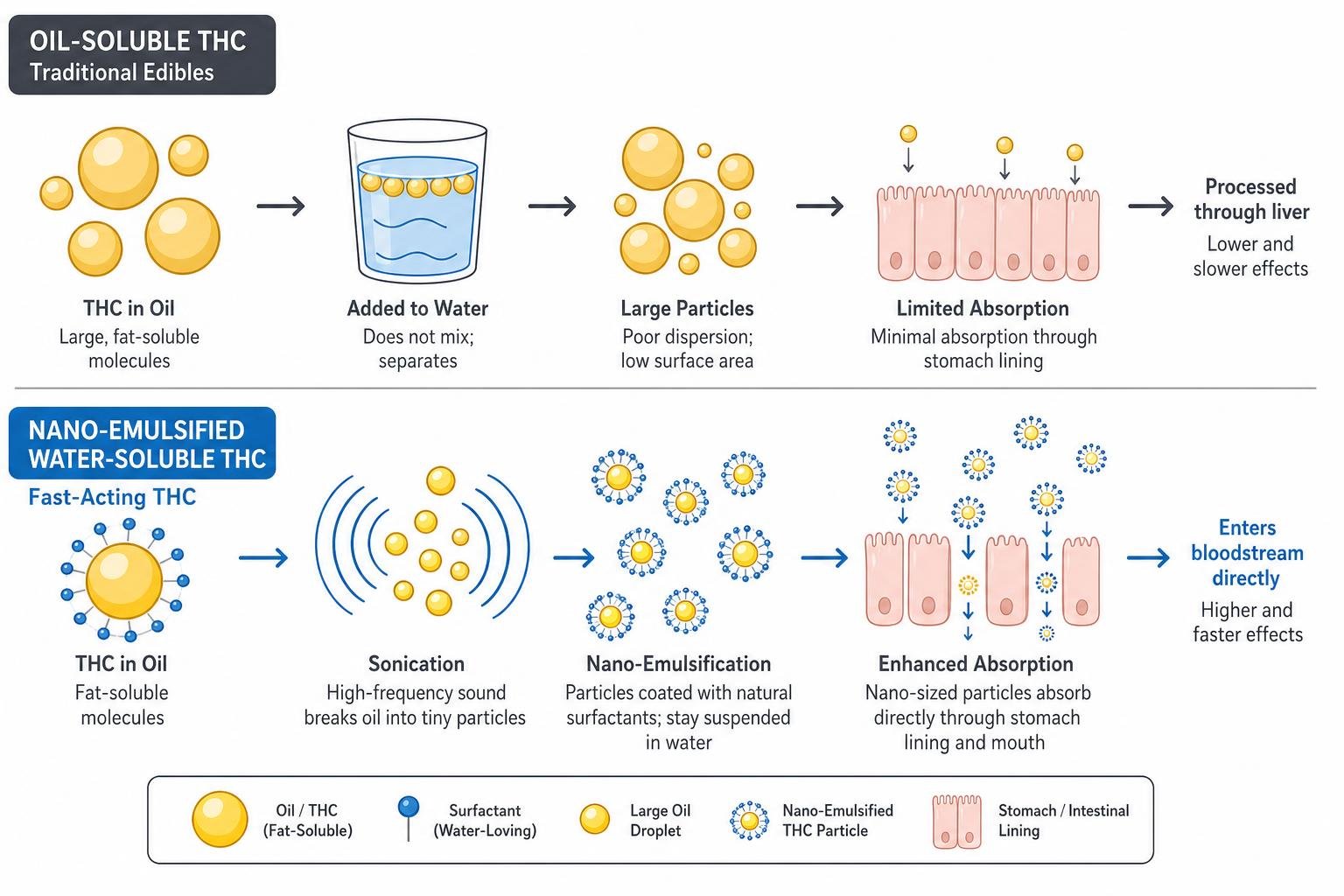 Molecular comparison of oil-soluble THC vs nano-emulsified water-soluble THC