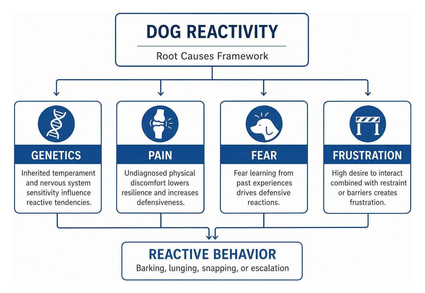 framework of dog reactivity causes including genetics, pain, fear, and frustration framework of dog reactivity causes including genetics, pain, fear, and frustration