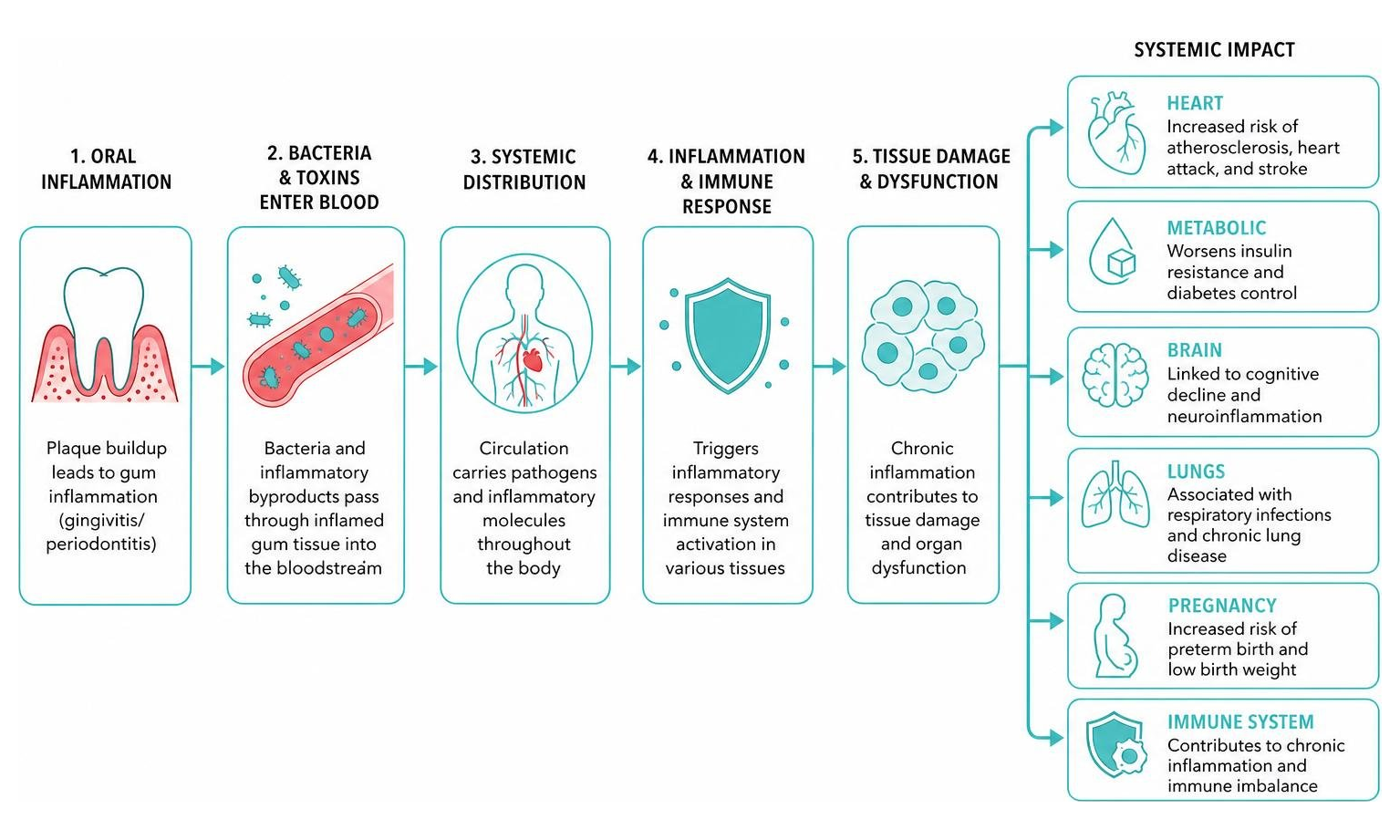 Diagram showing pathways from oral inflammation to systemic disease