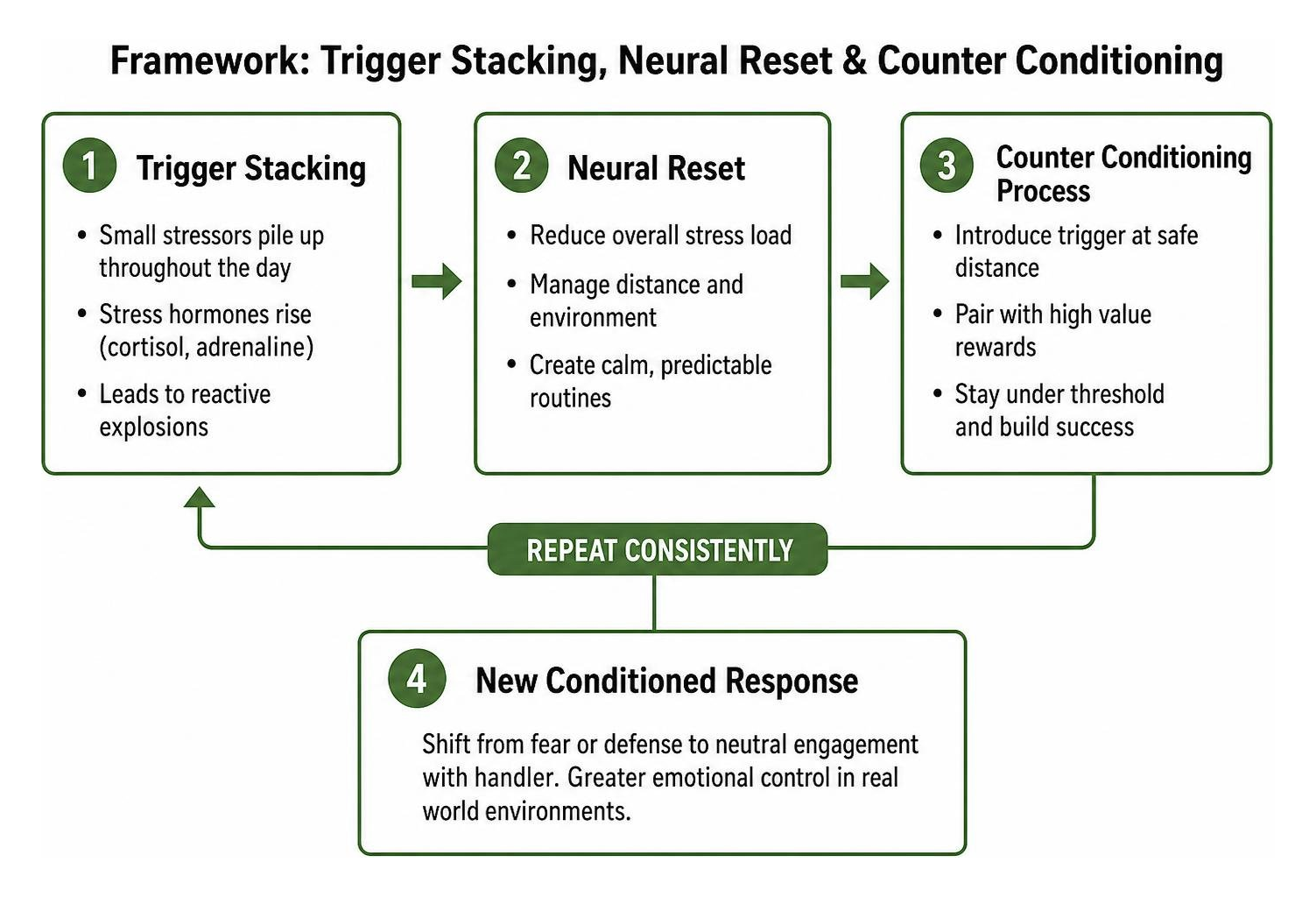 framework of trigger stacking neural reset and counter conditioning framework of trigger stacking neural reset and counter conditioning