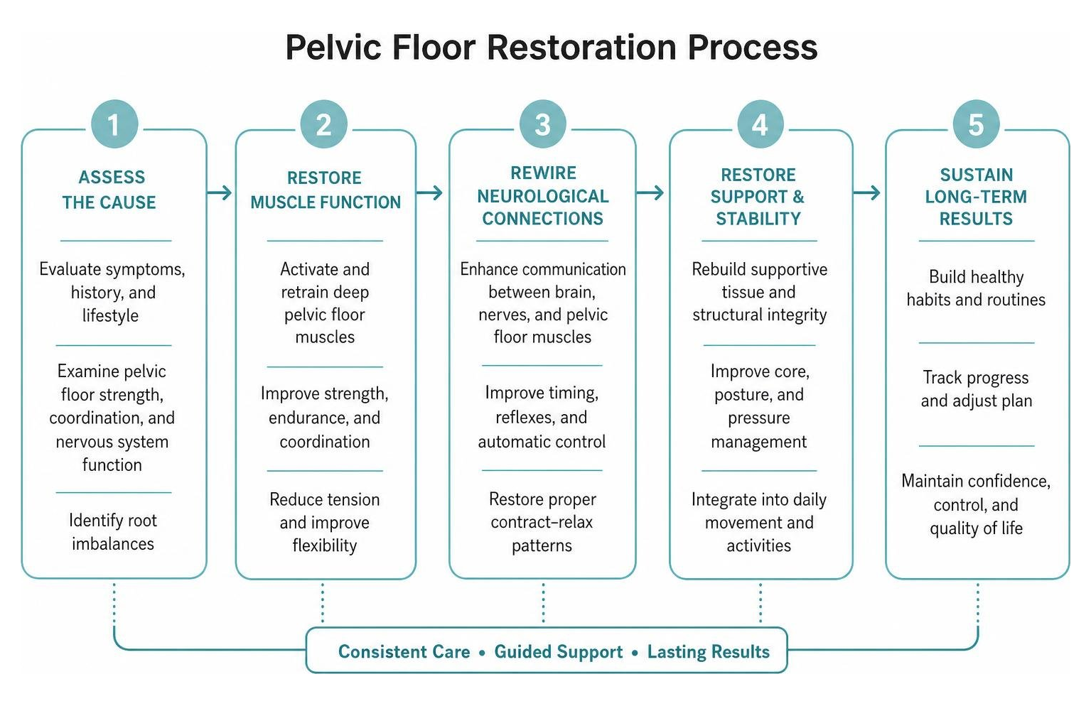 Diagram of Pelvic Floor Restoration Process