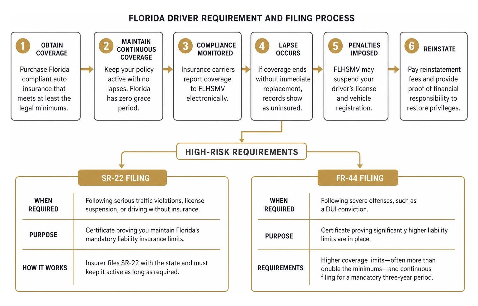 Florida driver requirement and filing process Florida driver requirement and filing process
