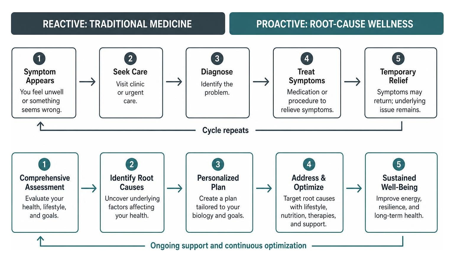 Process diagram comparing reactive traditional medicine with proactive root-cause wellness Process diagram comparing reactive traditional medicine with proactive root-cause wellness