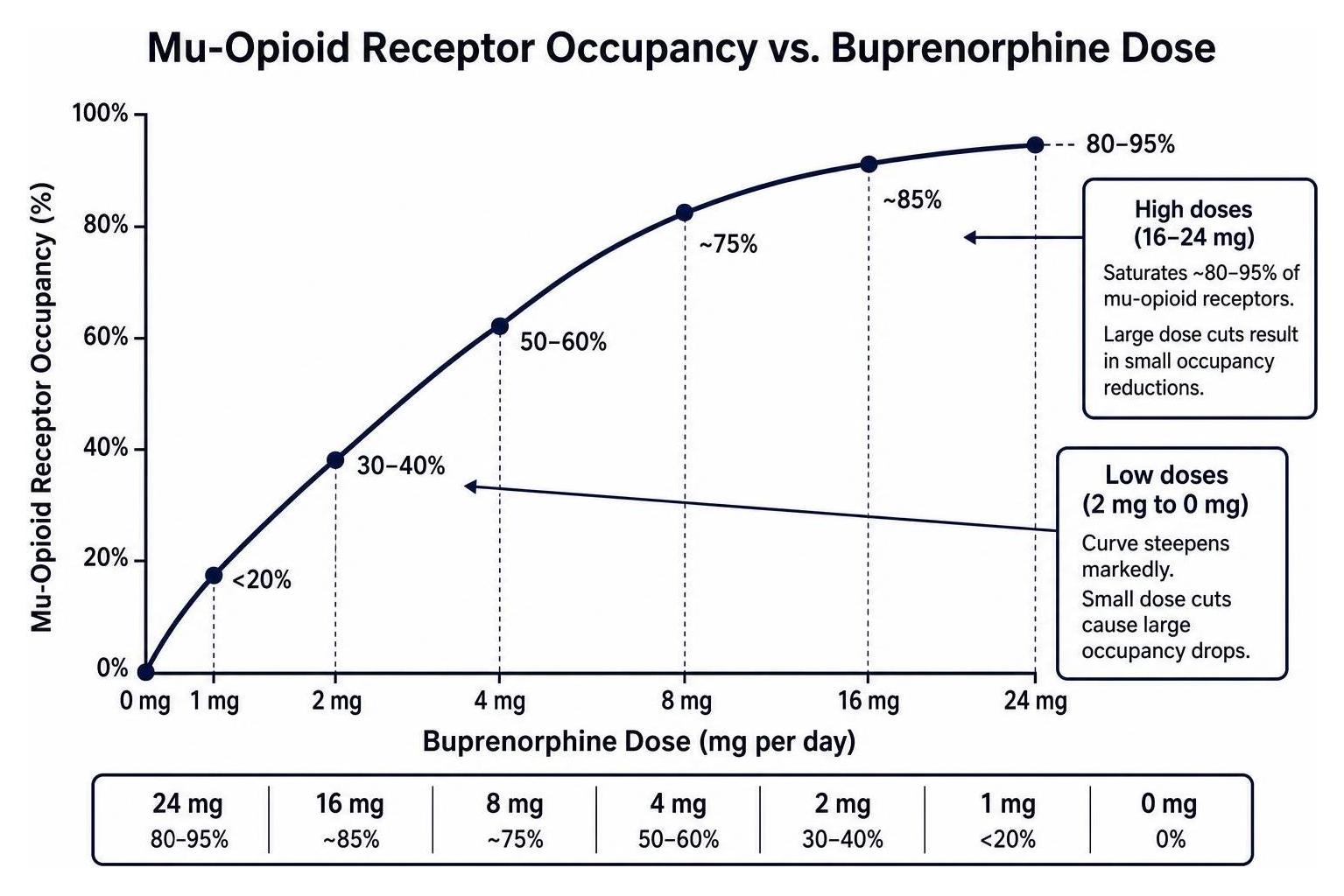 hyperbolic curve showing receptor occupancy versus buprenorphine dose hyperbolic curve showing receptor occupancy versus buprenorphine dose