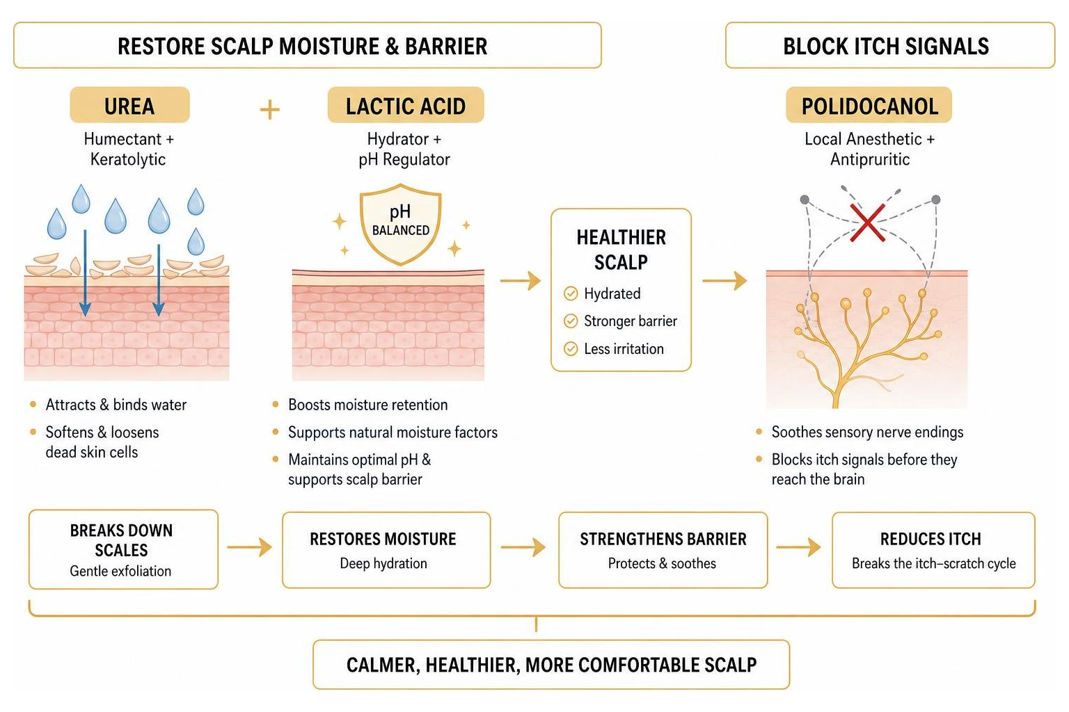 How Urea and Polidocanol restore scalp moisture and block itch signals
