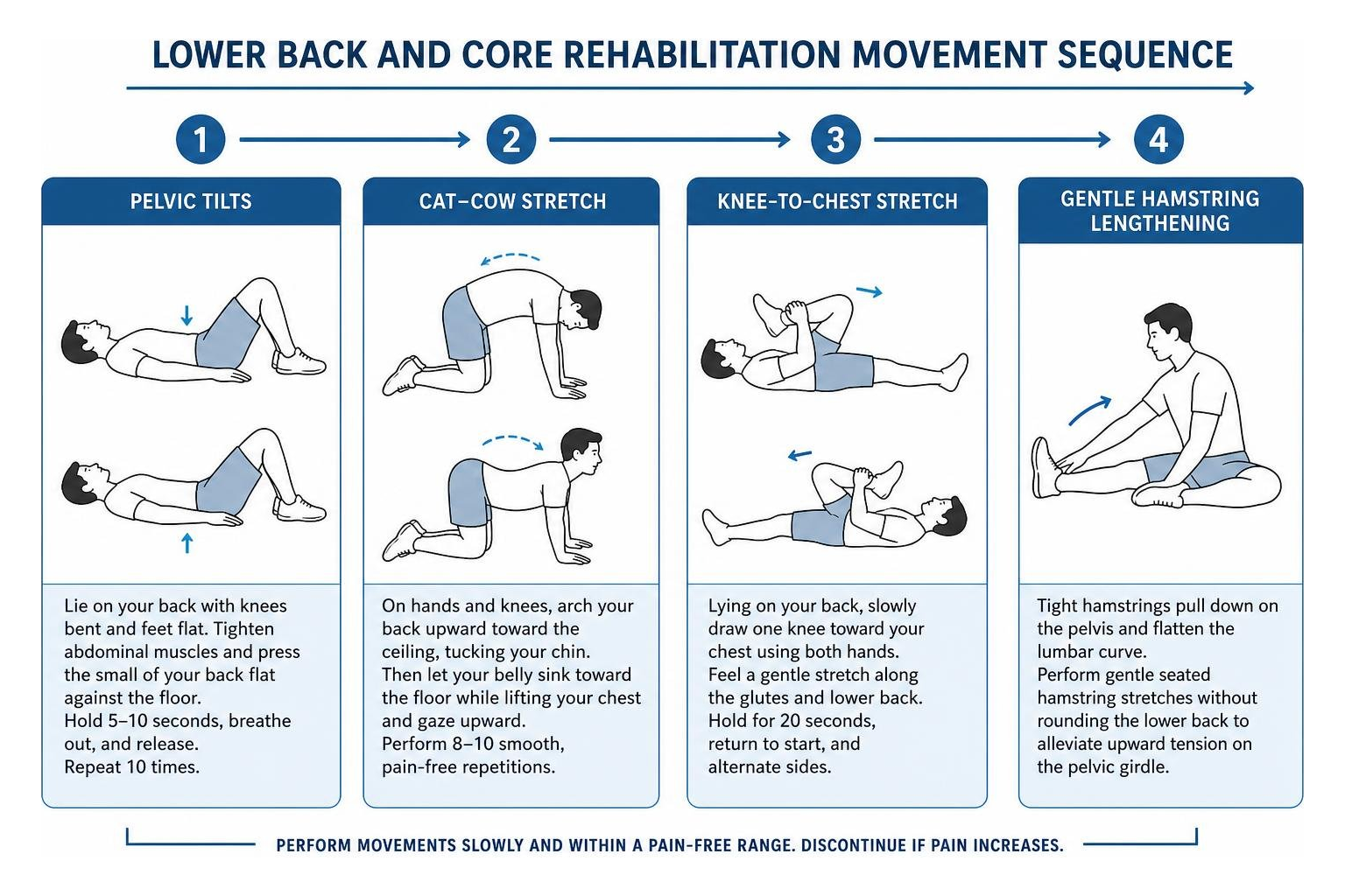 Lower back and core rehabilitation movement sequence Lower back and core rehabilitation movement sequence