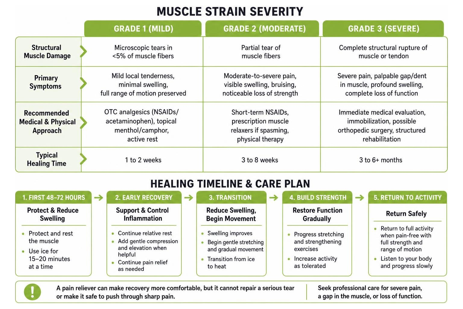 Muscle Strain Severity and Healing Timeline