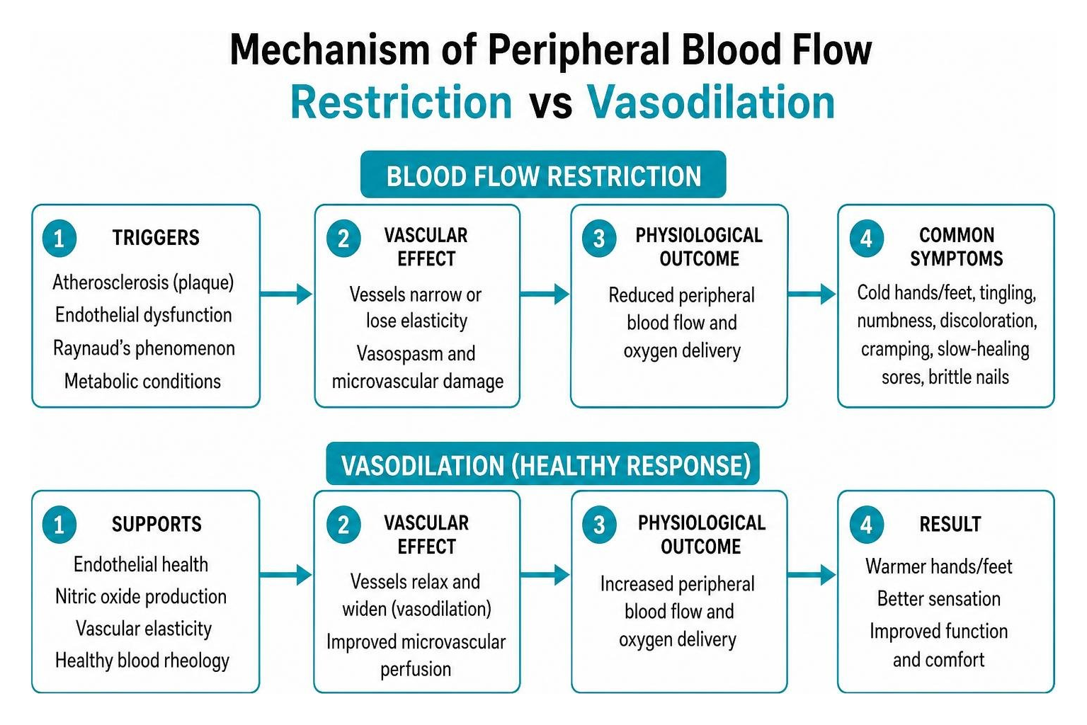 Mechanism of peripheral blood flow restriction vs vasodilation