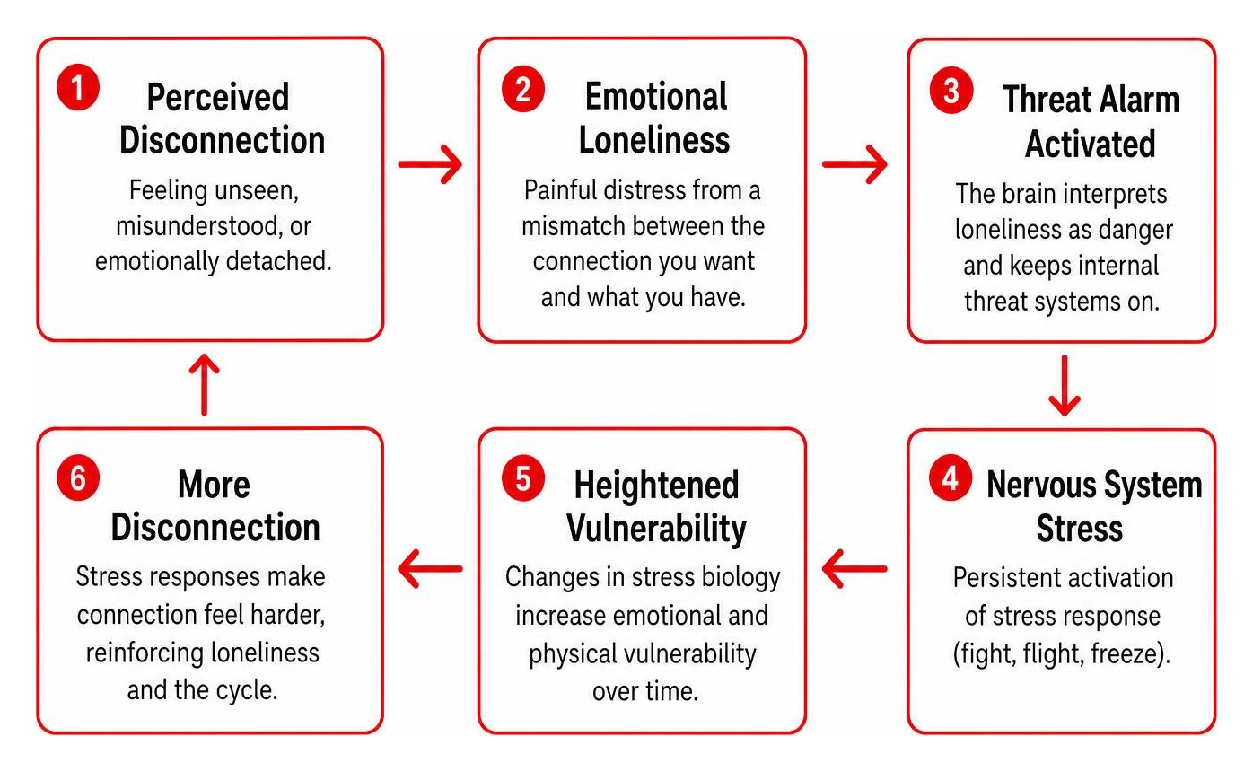 Diagram of the loneliness feedback loop from perceived disconnection to nervous system stress Diagram of the loneliness feedback loop from perceived disconnection to nervous system stress