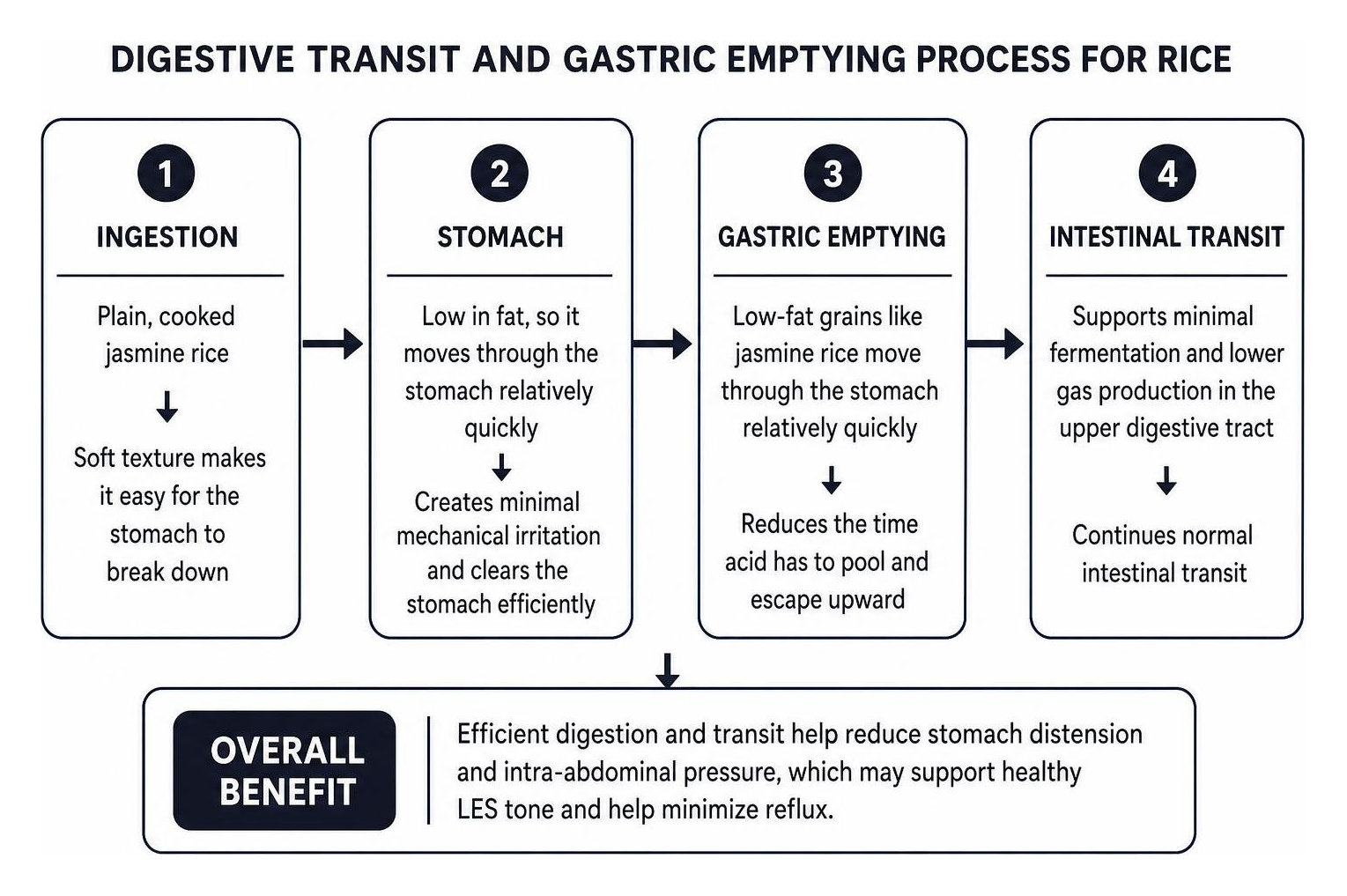 Digestive transit and gastric emptying process for rice Digestive transit and gastric emptying process for rice