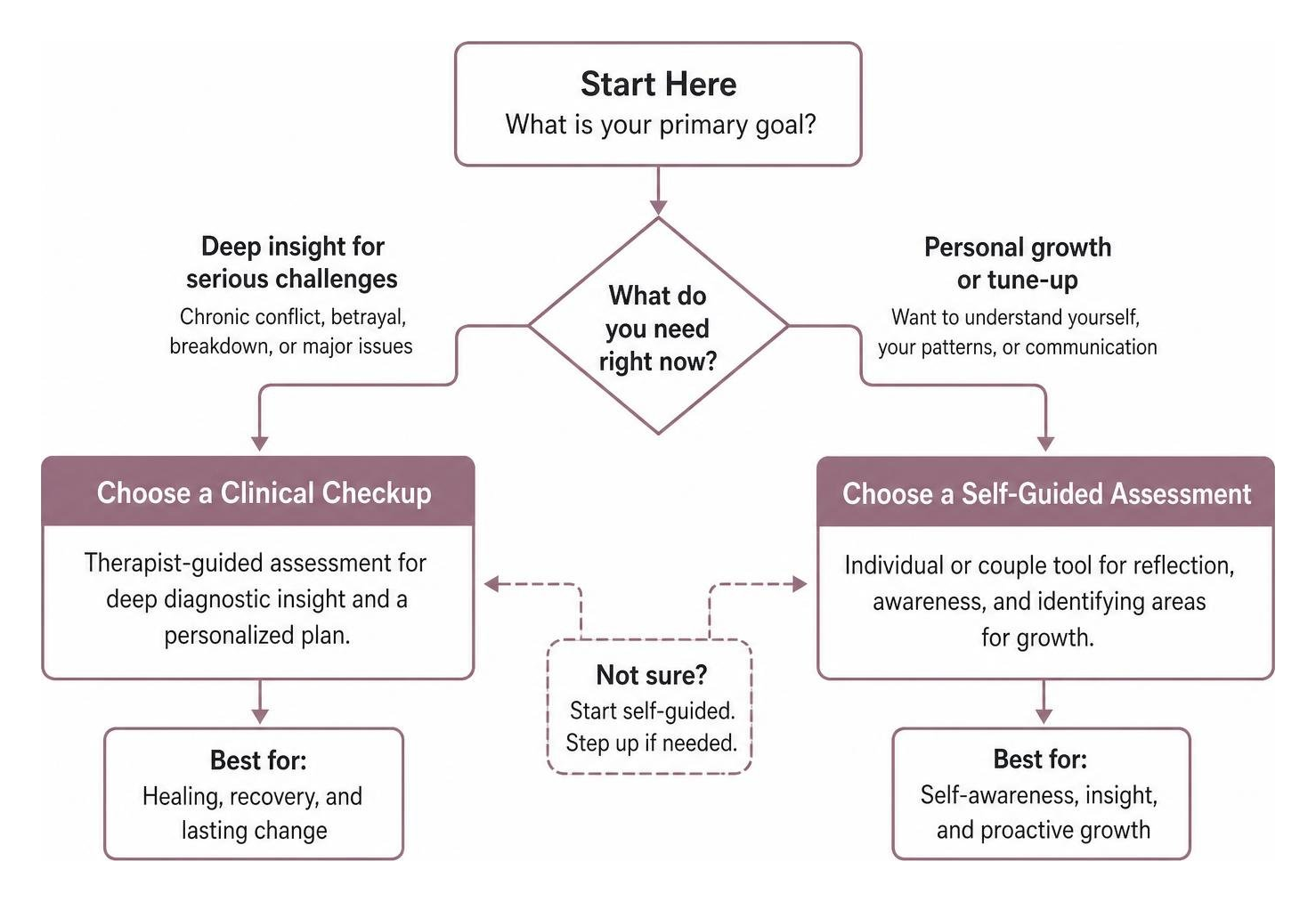 Diagram showing the decision path between choosing a clinical checkup or a self-guided relationship assessment