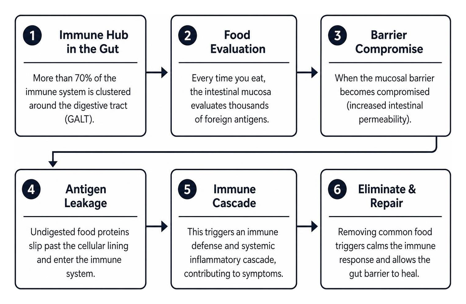 gut-immune cascade and barrier repair sequence gut-immune cascade and barrier repair sequence