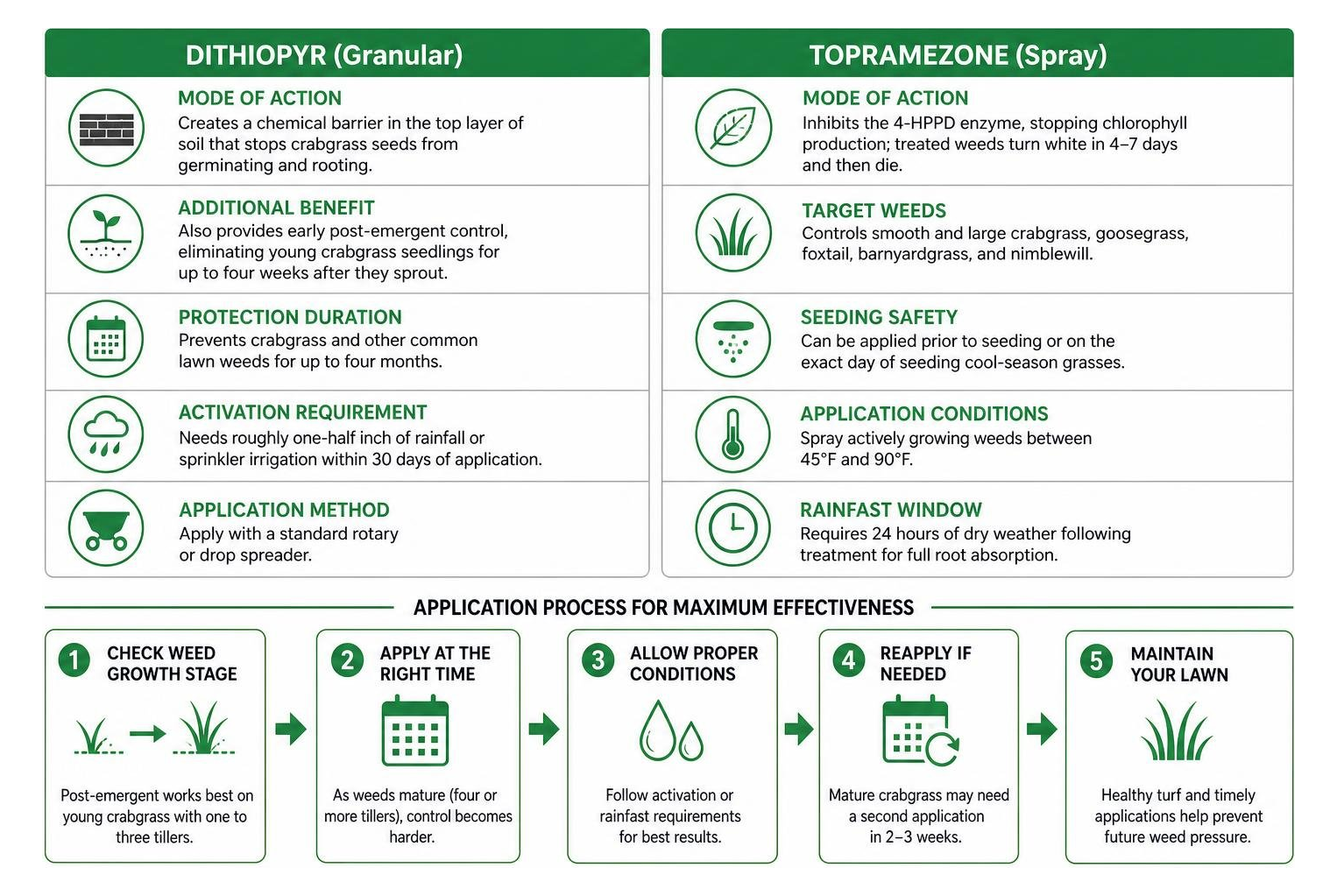 Crabgrass chemical mode of action and application process