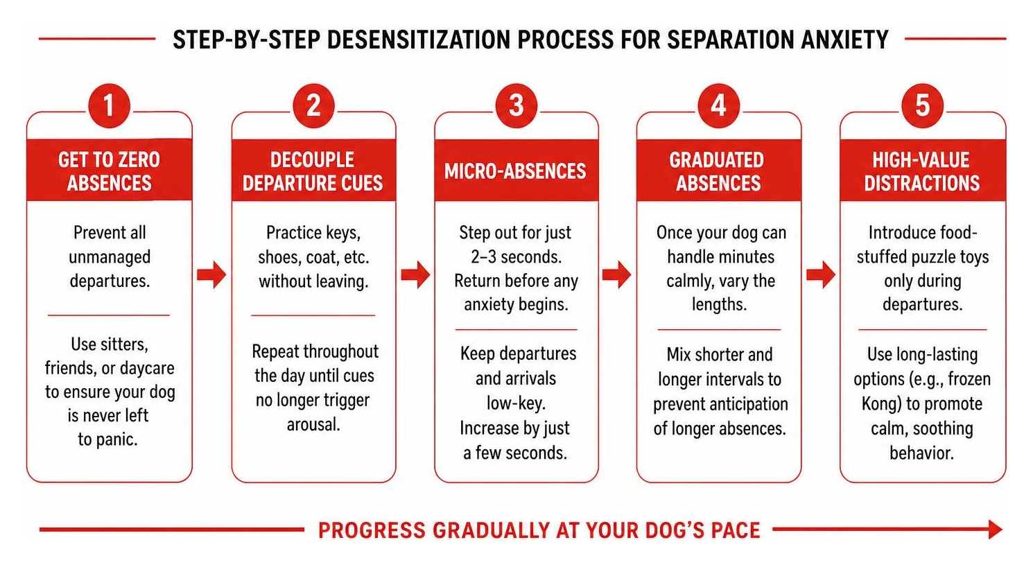 diagram of the step-by-step desensitization process for separation anxiety diagram of the step-by-step desensitization process for separation anxiety
