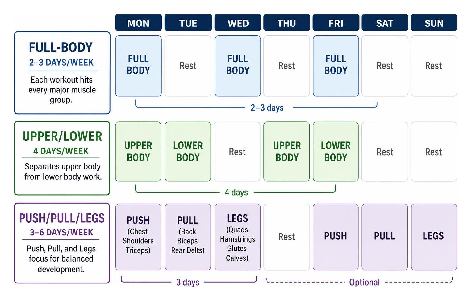 Diagram showing how full body upper lower and push pull legs splits cycle across a calendar week Diagram showing how full body upper lower and push pull legs splits cycle across a calendar week