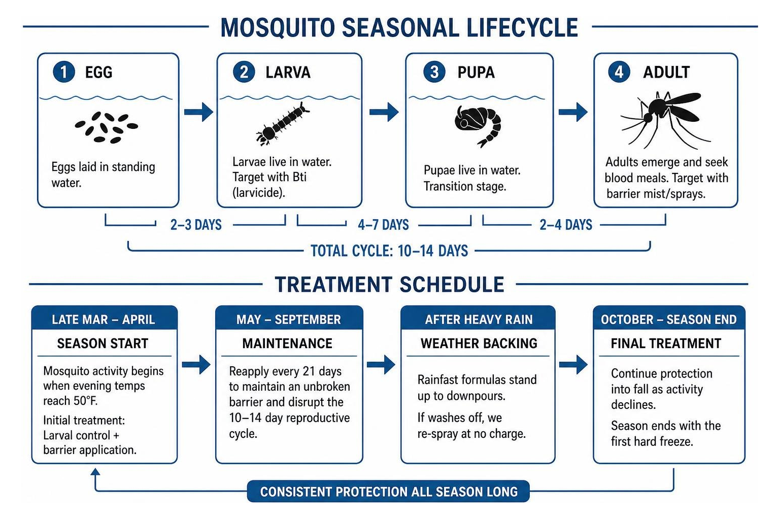 Mosquito seasonal lifecycle timeline and treatment schedule