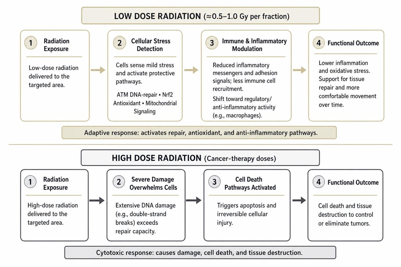diagram of low dose versus high dose radiation cellular pathway responses diagram of low dose versus high dose radiation cellular pathway responses