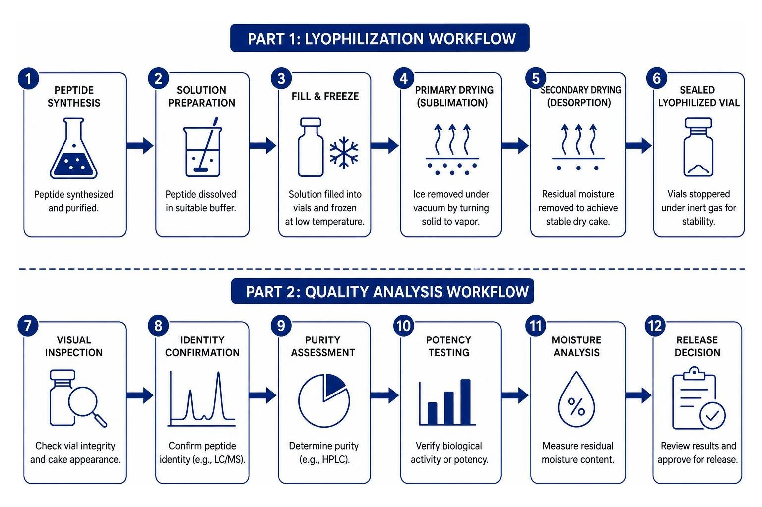 Step-by-step workflow of peptide lyophilization and quality analysis
