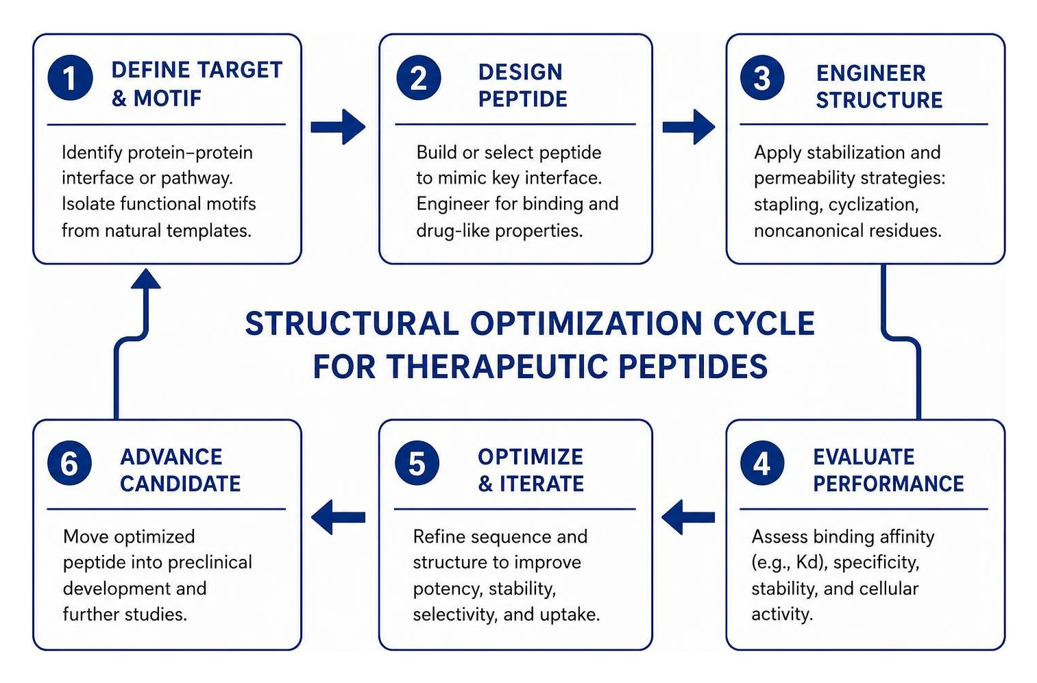 diagram of structural optimization cycle for therapeutic peptides diagram of structural optimization cycle for therapeutic peptides