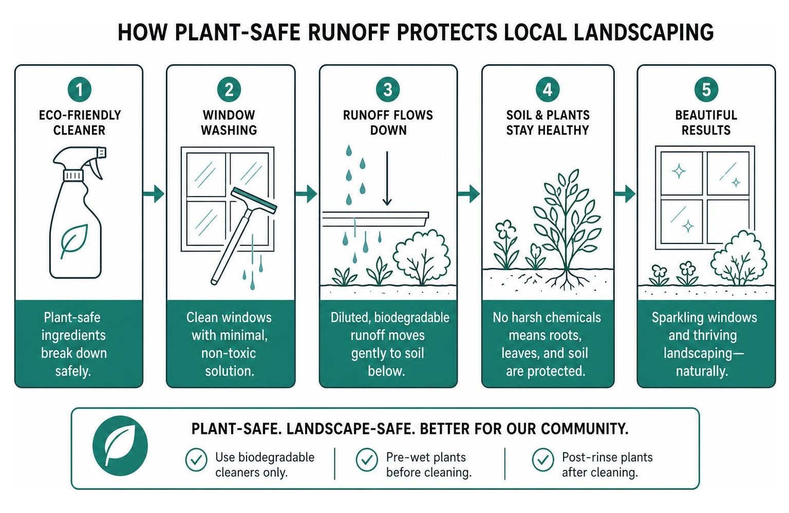 Diagram showing how plant-safe runoff from natural cleaners protects local landscaping during exterior window washing Diagram showing how plant-safe runoff from natural cleaners protects local landscaping during exterior window washing
