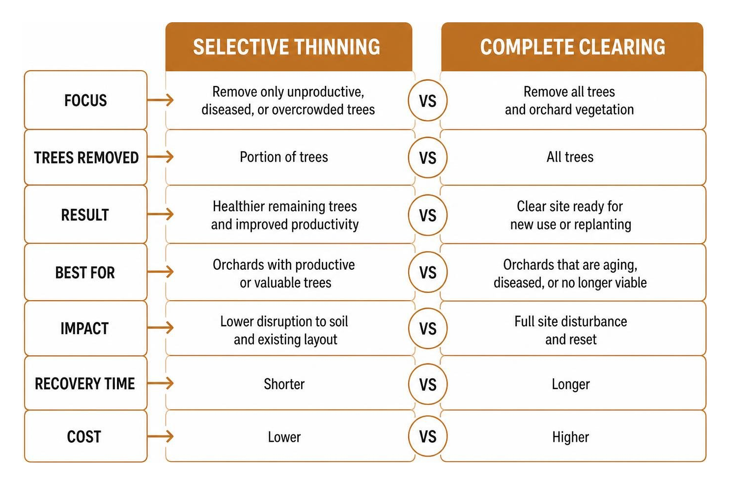 Selective thinning vs complete clearing comparison