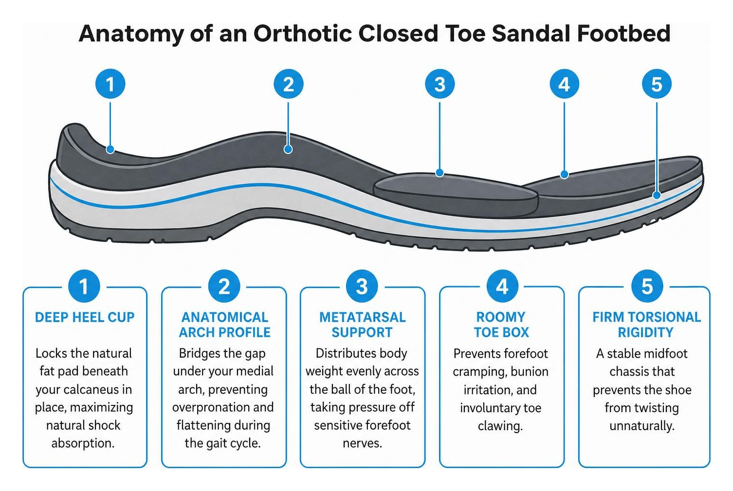 Anatomy of an orthotic closed toe sandal footbed Anatomy of an orthotic closed toe sandal footbed