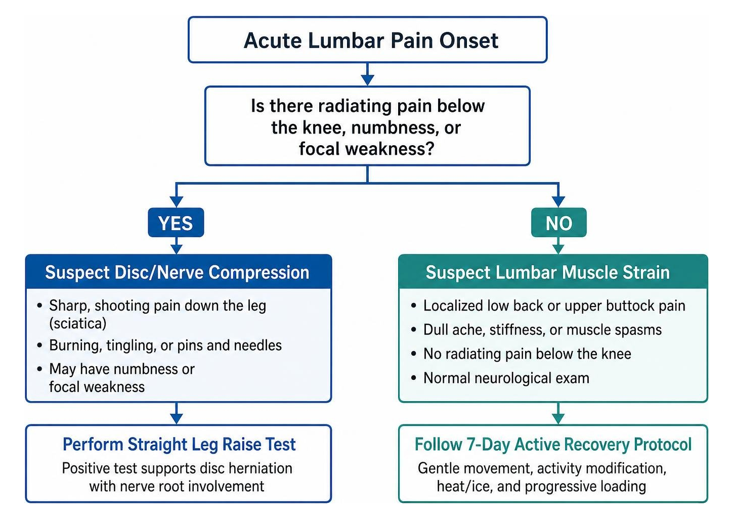 diagnostic flowchart differentiating muscle strain from disc herniation diagnostic flowchart differentiating muscle strain from disc herniation
