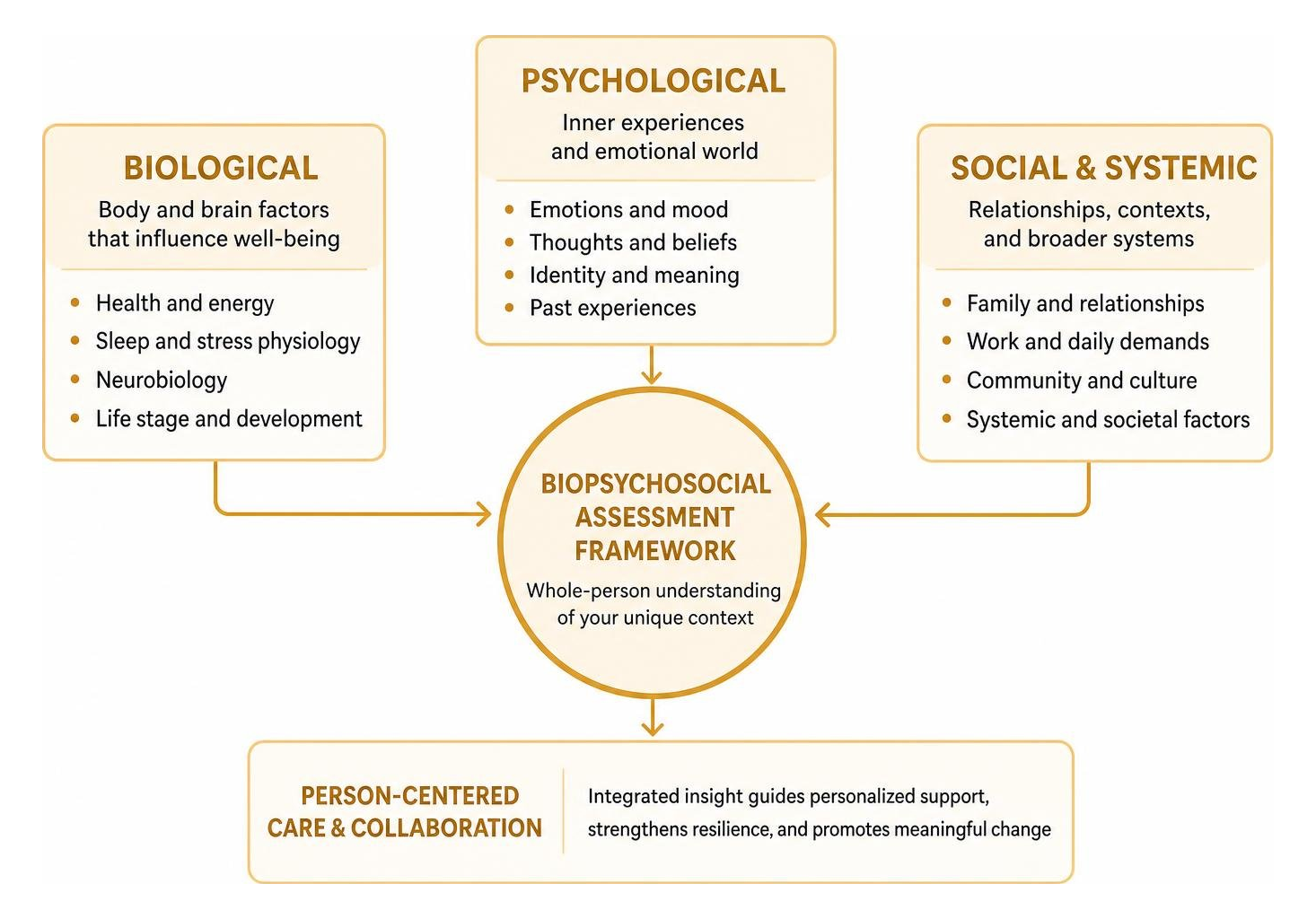Diagram of biopsychosocial assessment framework highlighting emotional and systemic facets Diagram of biopsychosocial assessment framework highlighting emotional and systemic facets